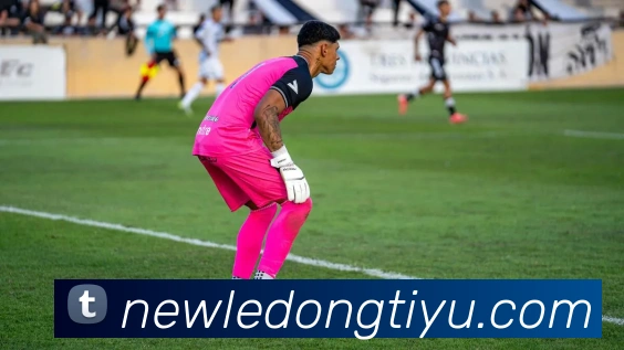 乐动体育APP 封面图